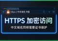 中文域名申请SSL证书，域名到底填中文还是xn--