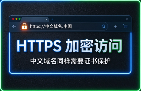 中文域名申请SSL证书，域名到底填中文还是xn--